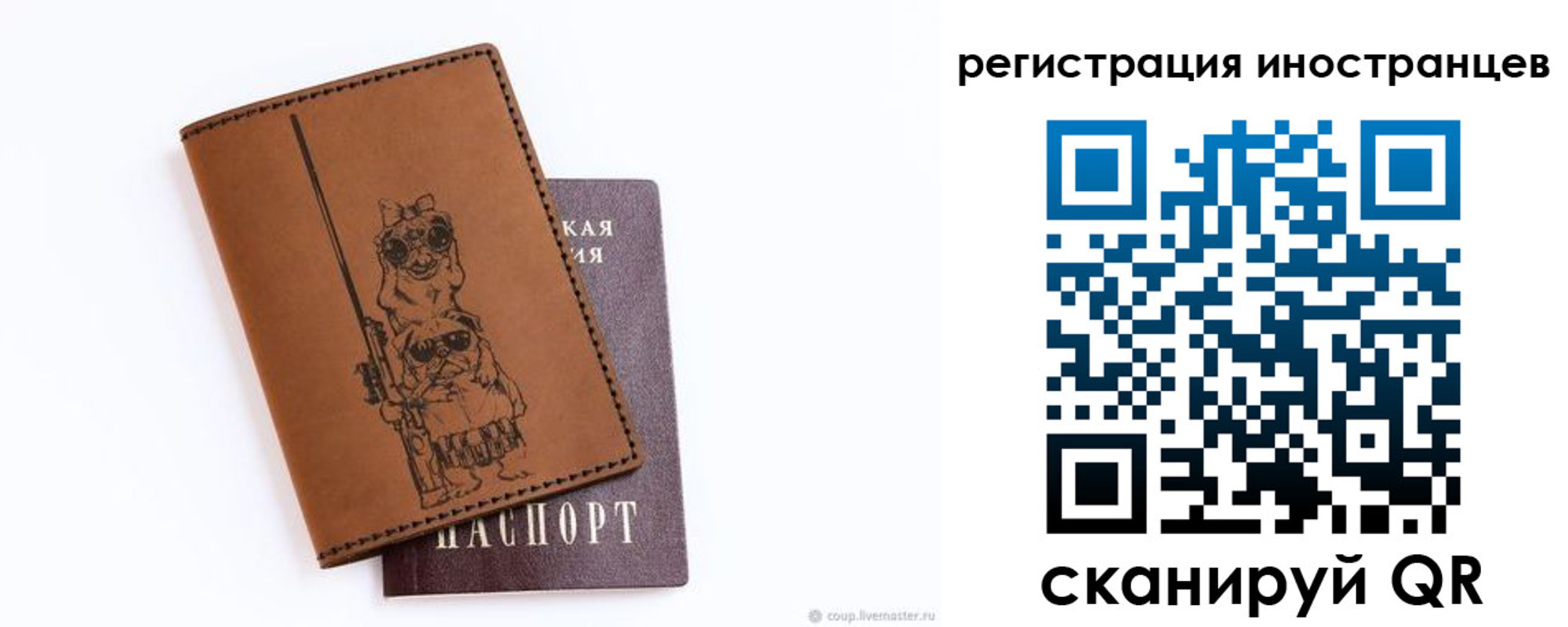 прописка гарантия в Тереке